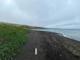 les longues plages noires d'islande. photo