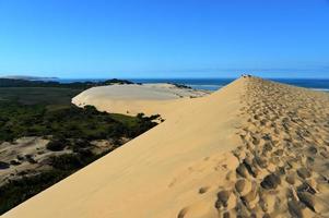 île de bazaruto, mozambique photo