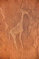 gravures rupestres Bushman - Namibie photo