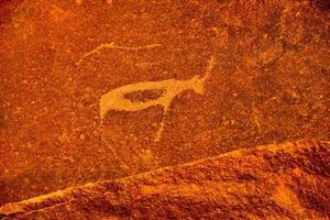 gravures rupestres Bushman - Namibie photo