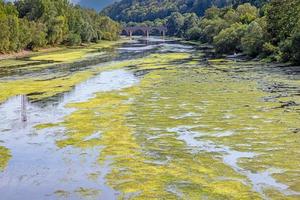 photo du lit de la rivière presque à sec de la nahe près de l'embouchure de la rivière dans le rhin près de bingen