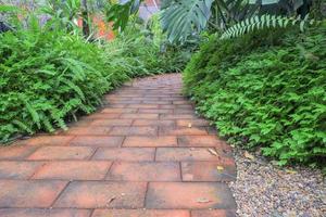 une passerelle dans le jardin avec des sols en briques rouges. le long du chemin planté un petit arbre. photo