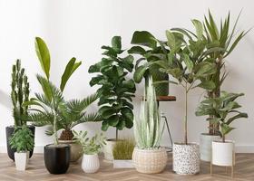 plantes d'intérieur en pots debout sur parquet à la maison. concept d'amoureux des plantes, détails intérieurs verts. diverses plantes en pot. rendu 3d. photo