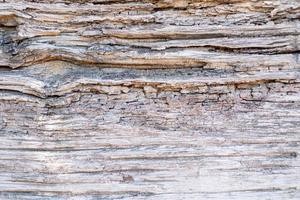 vieux fond de texture de bois de front provenant d'un arbre naturel. le panneau en bois a un beau motif sombre, une texture de plancher de bois franc. photo