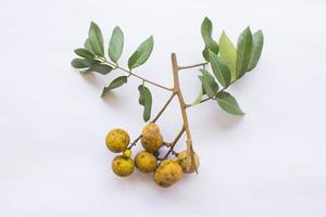 fruits longanes. longane frais ou kelengkeng isoler sur fond blanc photo