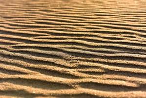 vlei caché, namibie photo