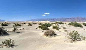 dunes de sable plat mesquite, vallée de la mort photo