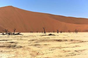 dead vlei, namibie photo