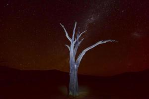 dead vlei, namibie photo