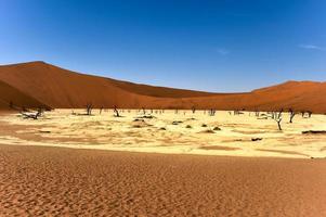 dead vlei, namibie photo