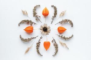 photographie de fleurs de mandala, motif de mandala d'automne à plat de plantes sèches sur fond de papier blanc photo