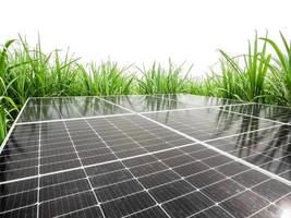 cellules solaires dans la canne à sucre, énergie verte, énergie naturelle isolée sur fond blanc et chemin de détourage photo