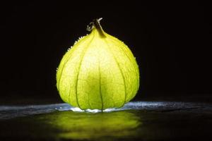 physalis sur un sol humide noir avec un fond noir. fruits illuminés. vitamine C photo