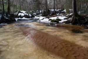 une petite rivière de forêt rocheuse en hiver photo