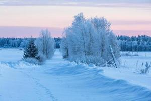 paysages d'hiver en estonie photo