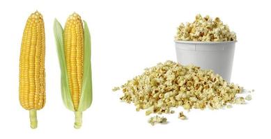 Maïs et pop-corn en boîte sur fond blanc photo