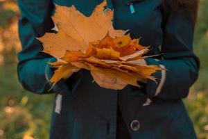 la fille en manteau noir tient des feuilles d'érable à la main, gros plan photo