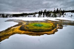 geyser dans le parc national de yellowstone photo