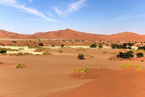 Désert de Sossusvlei, Namibie photo