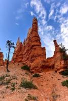 l'amphithéâtre du parc national de bryce canyon dans l'utah, états-unis. photo