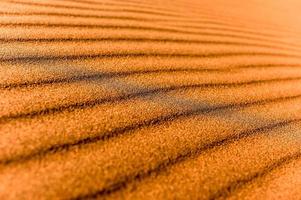 Désert de Sossusvlei, Namibie photo