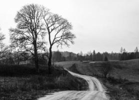 chemin de campagne gravillonné photo