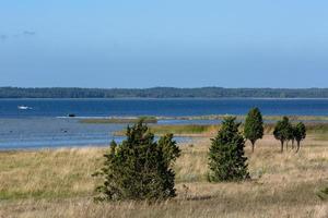 paysages naturels de l'île de vormsi photo