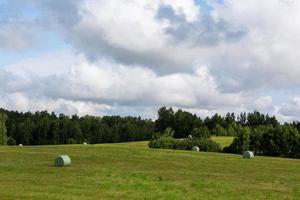 paysages d'été en lettonie photo