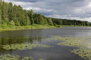 paysages d'été ruraux dans les pays baltes photo