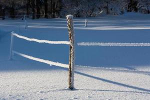 paysages d'hiver en estonie photo