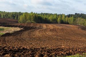 paysages d'été dans la campagne lettone photo