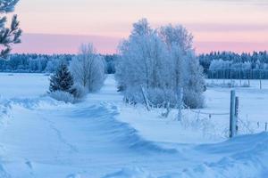 paysages d'hiver en estonie photo