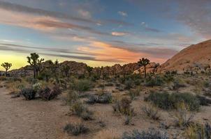 beau paysage dans le parc national de joshua tree en californie. photo