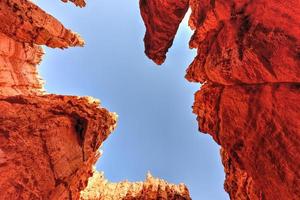 l'amphithéâtre du parc national de bryce canyon dans l'utah, états-unis. photo