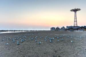 plage avec mouettes photo