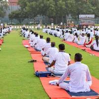 séance d'exercices de yoga en groupe pour les personnes de différents groupes d'âge au stade de cricket de delhi lors de la journée internationale du yoga, grand groupe d'adultes assistant à une séance de yoga photo