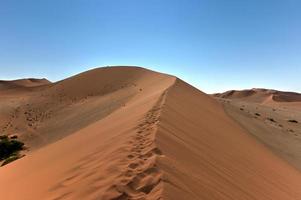 Désert de Sossusvlei, Namibie photo