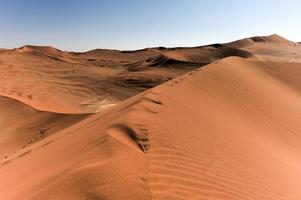 Désert de Sossusvlei, Namibie photo