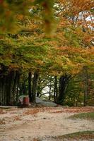 un banc en bois et une poubelle dans le parc, un parc d'automne et le vide et la solitude. photo