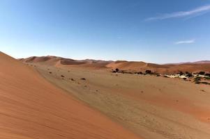 Désert de Sossusvlei, Namibie photo