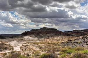 parc national de la forêt pétrifiée en arizona, états-unis. photo