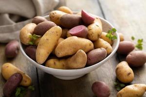 pommes de terre rattes jaunes et violettes prêtes à être cuites photo