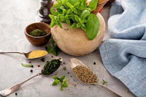 mélange d'herbes et d'épices pour faire l'assaisonnement grec photo