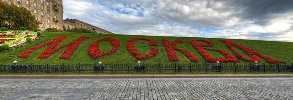 moscou en fleurs, colline de poklonnaya photo