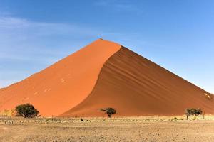 désert du namib, namibie photo