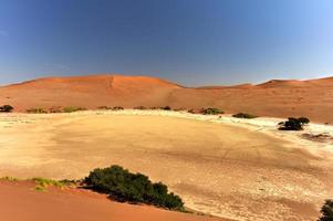 Désert de Sossusvlei, Namibie photo