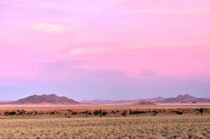 paysage désertique - namibrand, namibie photo