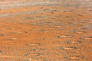 cercles de fées - namibie photo