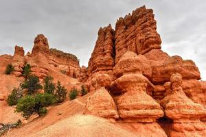 canyon rouge à dixie national forest dans l'utah, états-unis. photo