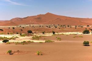 Désert de Sossusvlei, Namibie photo